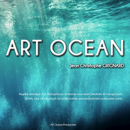 Illustration pour un livre publié : Art Ocean
