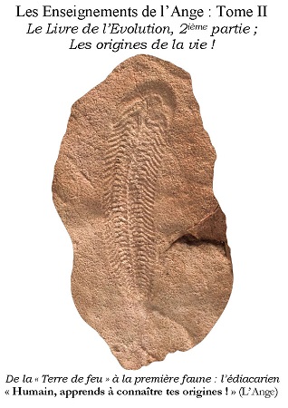 Illustration pour un livre publié : Les Enseignements de l'Ange - Tome II : Les origines de la vie