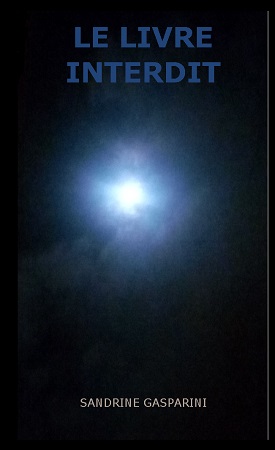 Illustration pour un livre publié : Le livre interdit