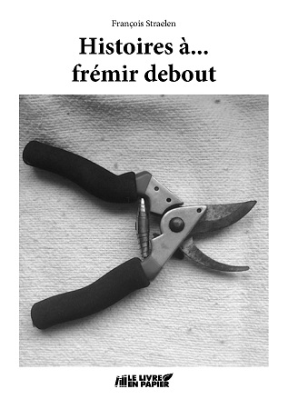 Illustration pour un livre publié : Histoires à... frémir debout !