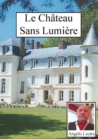 Illustration pour un livre publié : Le Château Sans Lumière