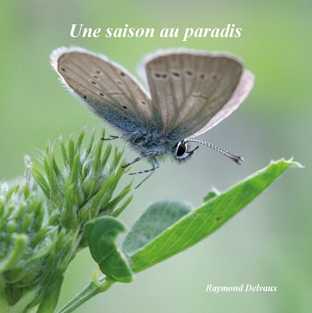 Illustration pour un livre publié : Une saison au paradis