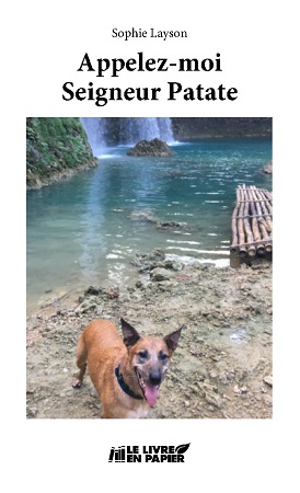 Illustration pour un livre publié : Appelez-moi Seigneur Patate