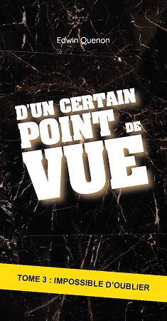 Illustration pour un livre publié : D'un certain point de vue - Tome 3