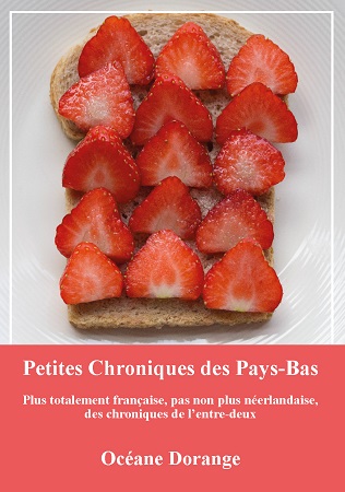 Illustration pour un livre publié : Petites Chroniques des Pays-Bas