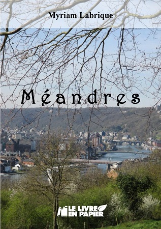 Illustration pour un livre publié : Méandres