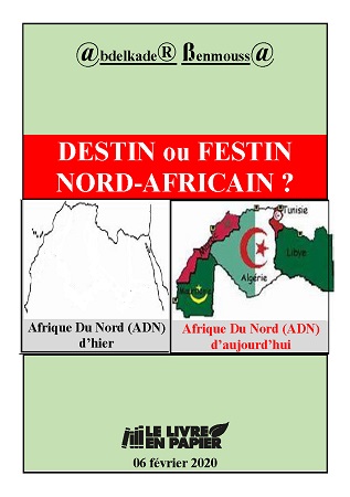 Illustration pour un livre publié : Destin ou Festin Nord-Africain ?