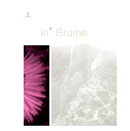 Illustration pour un livre publié : in'Brume