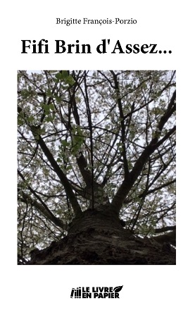 Illustration pour un livre publié : Fifi Brin D'Assez....