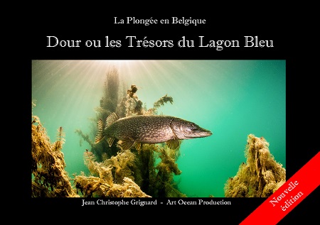 Illustration pour un livre publié : Dour ou les Trésors du Lagon Bleu