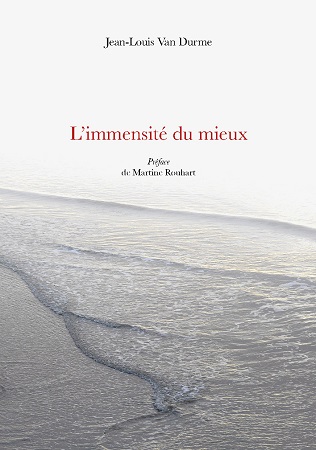 Illustration pour un livre publié : L'immensité du mieux