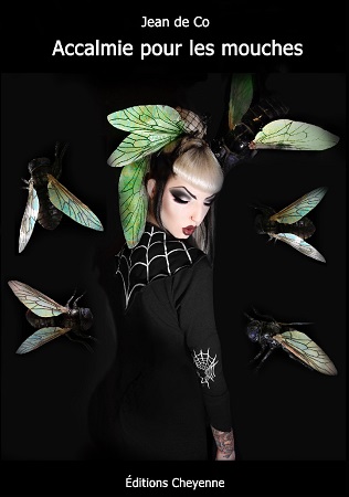Illustration pour un livre publié : Accalmie pour les mouches