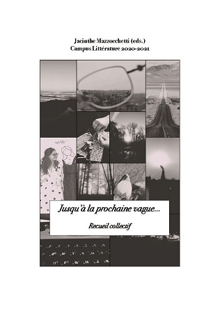 Illustration pour un livre publié : Jusqu'à la prochaine vague...