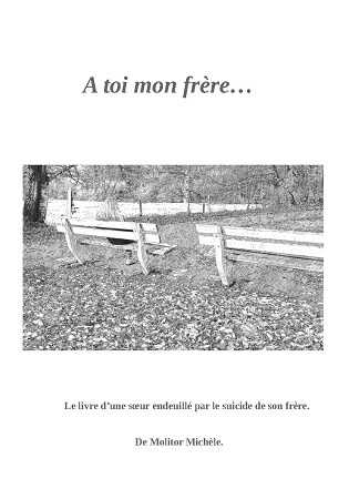 Illustration pour un livre publié : A toi mon frère