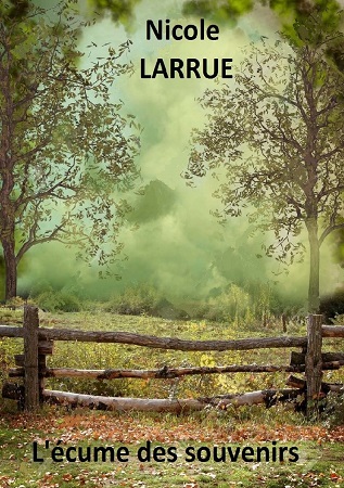 Illustration pour un livre publié : L'écume des souvenirs