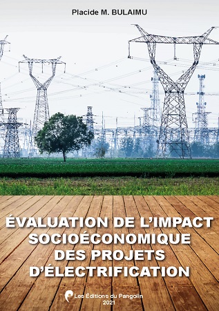 Illustration pour un livre publié : EVALUATION DE L'IMPACT SOCIOECONOMIQUE DES PROJETS D'ELECTRIFICATION