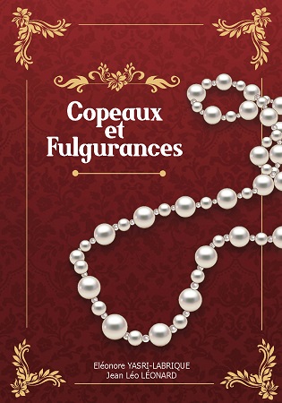 Illustration pour un livre publié : Copeaux et Fulgurances