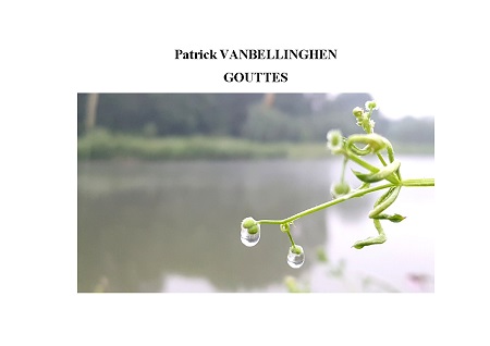 Illustration pour un livre publié : Gouttes