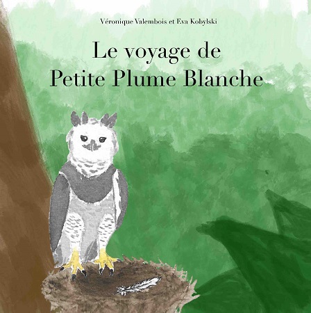 Illustration pour un livre publié : Le voyage de Petite Plume Blanche