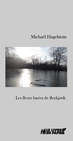 Illustration pour un livre publié : Les fleurs fanées de Reykjavík