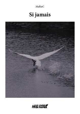 Illustration pour un livre publié : Si jamais