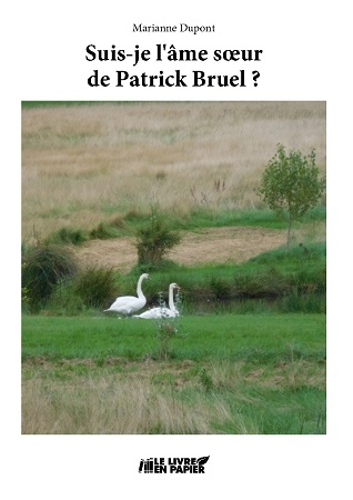 Illustration pour un livre publié : Suis-je l'âme sœur de Patrick Bruel ?