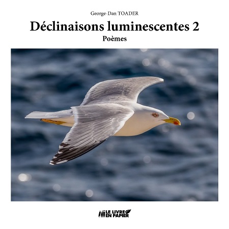 Illustration pour un livre publié : Déclinaisons luminescentes 2