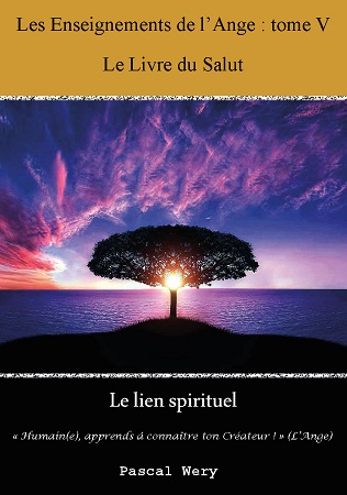 Illustration pour un livre publié : Les Enseignements de l'Ange : Tome V - Le Livre du Salut