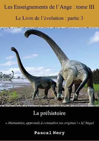 Illustration pour un livre publié : Les Enseignements de l'Ange : Tome III - La préhistoire