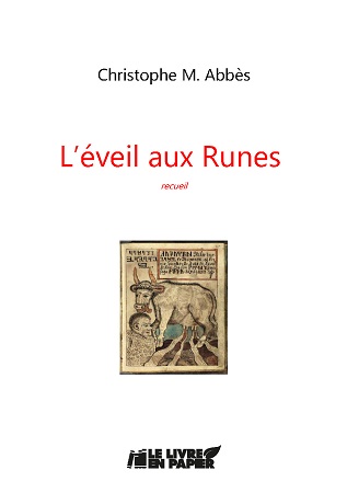 Illustration pour un livre publié : L'éveil aux runes