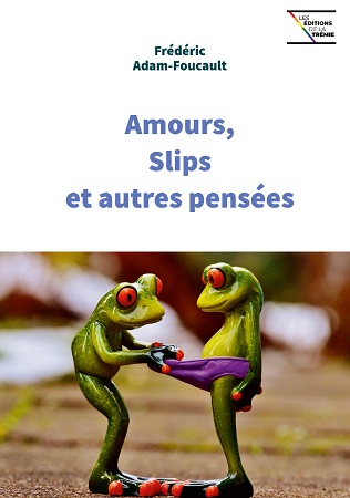 Illustration pour un livre publié : Amours, Slips et autres pensées