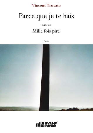 Illustration pour un livre publié : Parce que je te hais (A5)