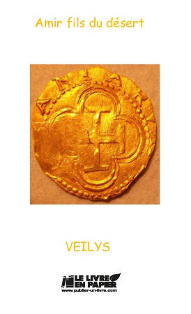 Illustration pour un livre publié : Amir fils du désert