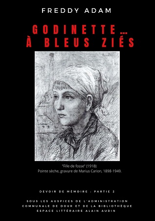 Illustration pour un livre publié : Godinette… à bleus ziés !