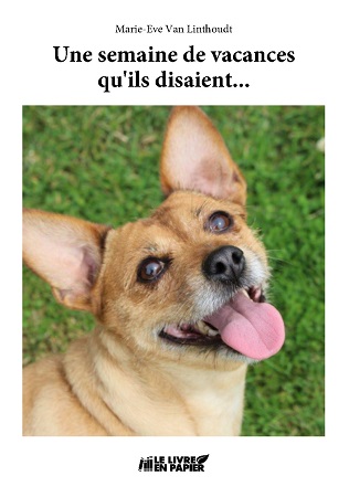 Illustration pour un livre publié : Une semaine de vacances, qu'ils disaient