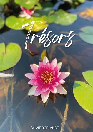 Illustration pour un livre publié : Trésors