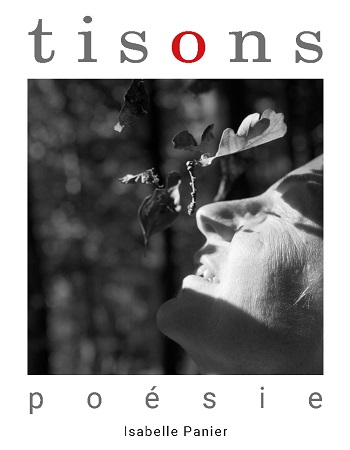 Illustration pour un livre publié : Tisons