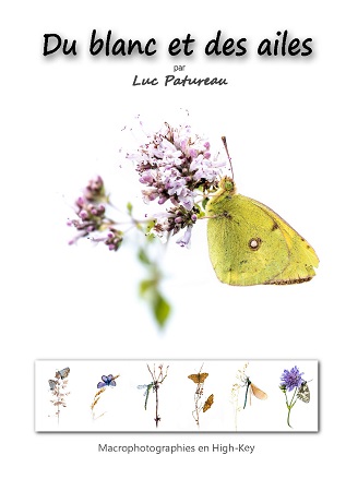 Illustration pour un livre publié : Du blanc et des ailes