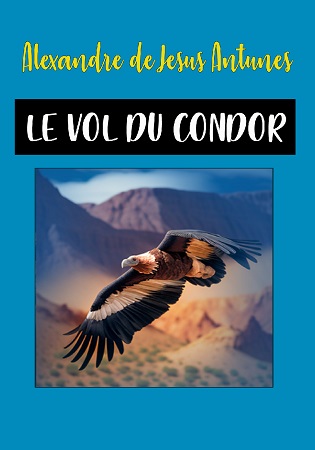 Illustration pour un livre publié : Le Vol du Condor