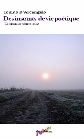 Illustration pour un livre publié : Des instants de vie poétique (Compilation volume 1 et 2)