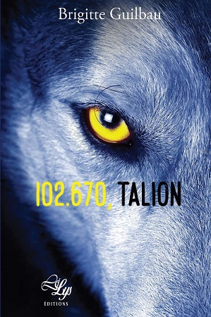 Illustration pour un livre publié : 102.670, Talion