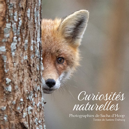 Illustration pour un livre publié : Curiosités naturelles