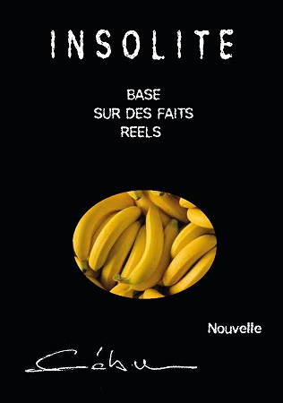 Illustration pour un livre publié : Insolite