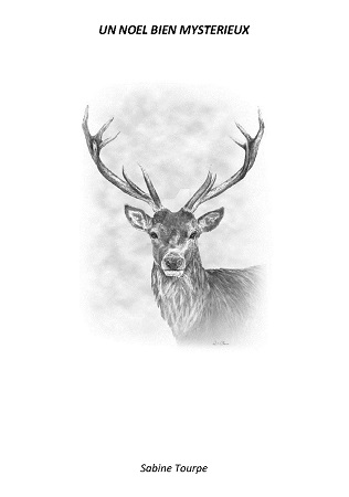 Illustration pour un livre publié : Un Noël bien mystérieux