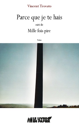 Illustration pour un livre publié : Parce que je te hais