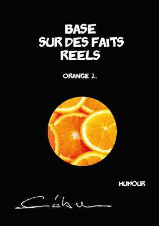 Illustration pour un livre publié : Orange