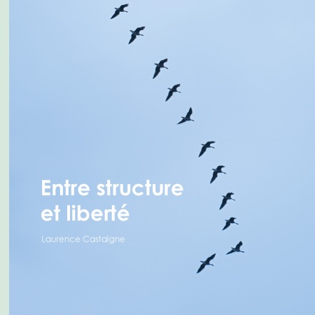 Illustration pour un livre publié : Entre structure et liberté