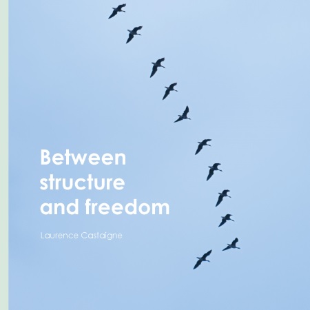 Illustration pour un livre publié : Between structure and freedom
