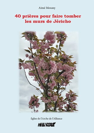Illustration pour un livre publié : 40 Prières pour faire tomber les murs de Jéricho
