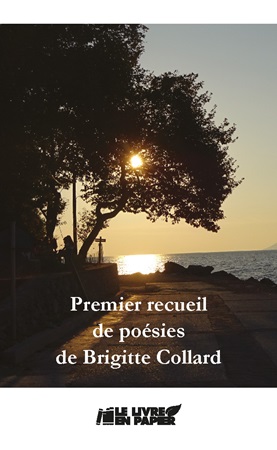 Illustration pour un livre publié : Recueil  de poésies